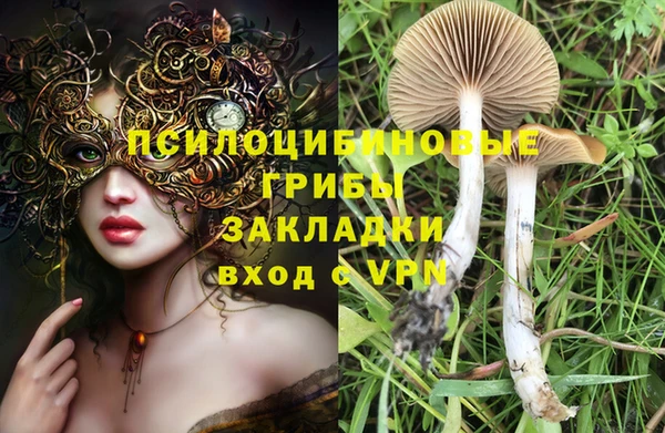 ГАЛЛЮЦИНОГЕННЫЕ ГРИБЫ Белоозёрский