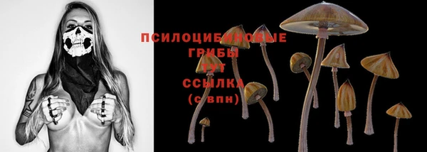 ГАЛЛЮЦИНОГЕННЫЕ ГРИБЫ Белоозёрский