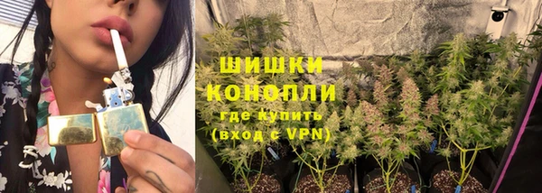 шишки Балабаново