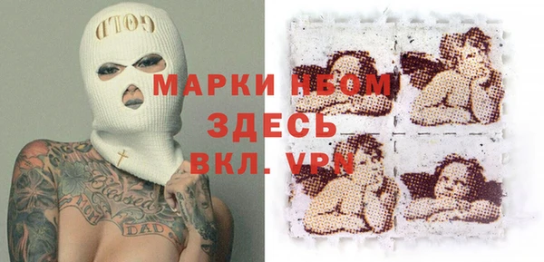 крисы Губаха