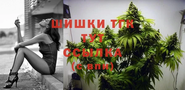 ALPHA PVP Беломорск