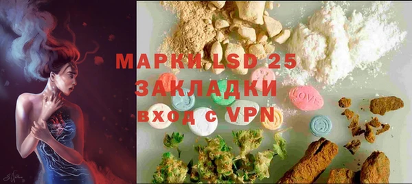 ГАЛЛЮЦИНОГЕННЫЕ ГРИБЫ Белоозёрский