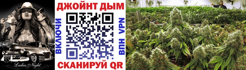 магазин    Мариинский Посад  Канабис ГИДРОПОН 